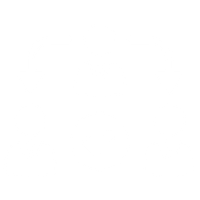 every_engagement_is_senior_led_icon