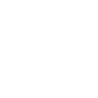 strategy_is_not_delegated_to_junior_staff_icon